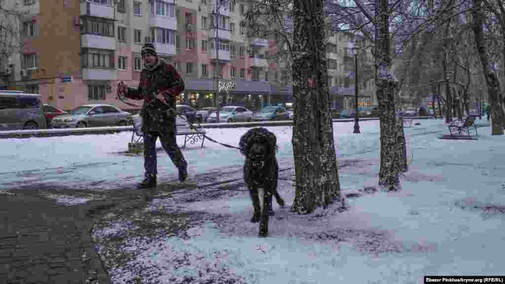 Однако были и те, кто в снегопад вышел на прогулку с домашним питомцем