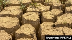 Посуха в Криму. Літні дощі не вирішать проблему дефіциту води (фотогалерея)