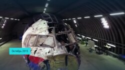 Почему упал «Боинг»? Все версии причин катастрофы рейса MH17 (видео)