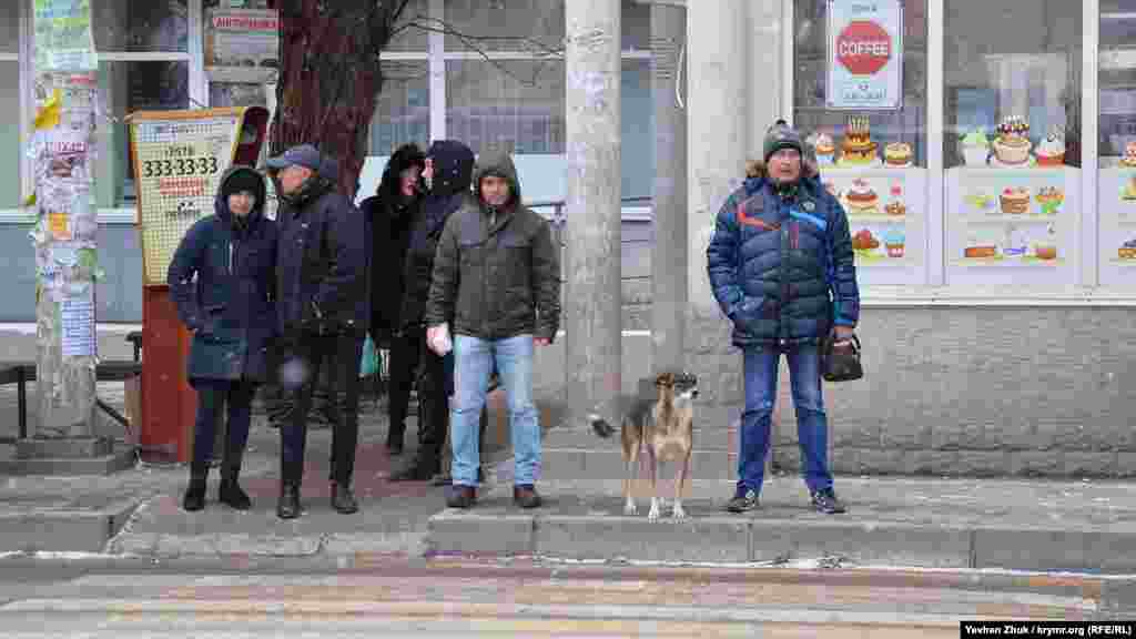 Севастопольцы впервые после нового года надели шапки и капюшоны