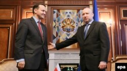 Міністр закордонних справ Польщі Радослав Сікорський та спікер українського парламенту Олександр Турчинов, 16 травня 2014 року